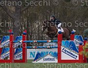 Clayton Mr Darcy TosTour 2013- S5 7256 : Arezzo Equestrian Centre, Clayton Joseph, Mr Darcy, Toscana Tour 2013, foto di Stefano Secchi ©